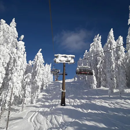 Feine Bleibe Апартаменты