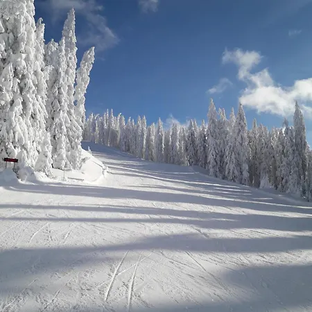 Апартаменты Feine Bleibe *