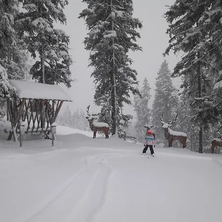 Feine Bleibe Апартаменты Эбен (Понгау)