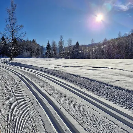 Feine Bleibe Апартаменты *