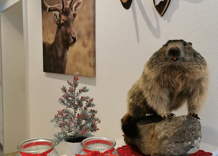 Appartement Feine Bleibe