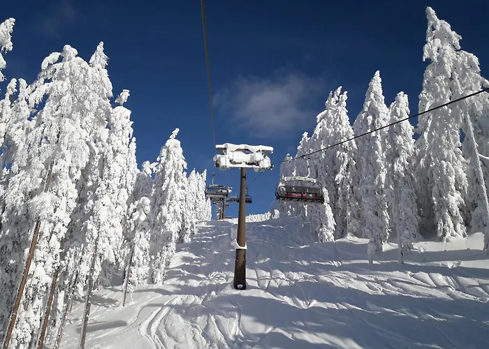 Feine Bleibe Appartement