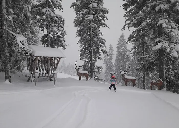 Feine Bleibe Appartement Eben Im Pongau