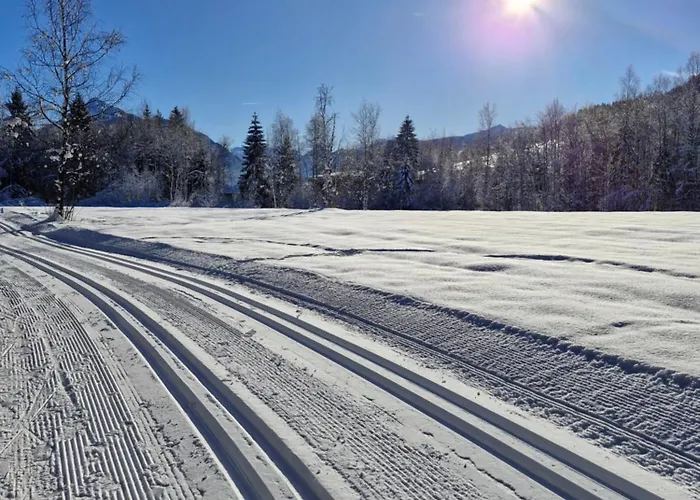 Feine Bleibe Appartement *